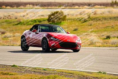 media/Feb-17-2024-Extreme Speed (Sat) [[f2f02d613c]]/Green Group/Session 3 (Turn 4)/